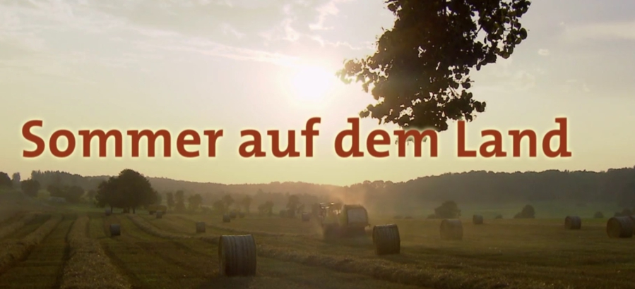 Sommer auf dem Land